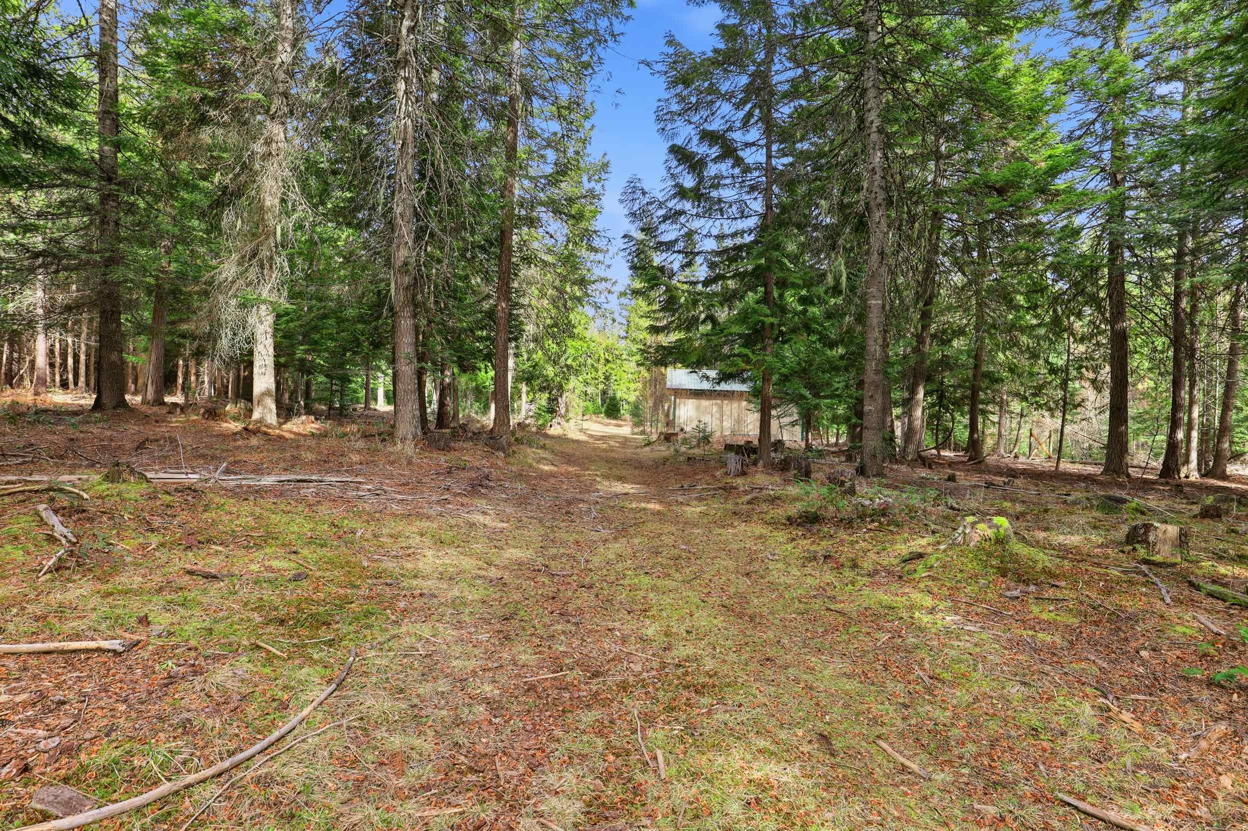 119 Gray Eagle Ln - Photo 15