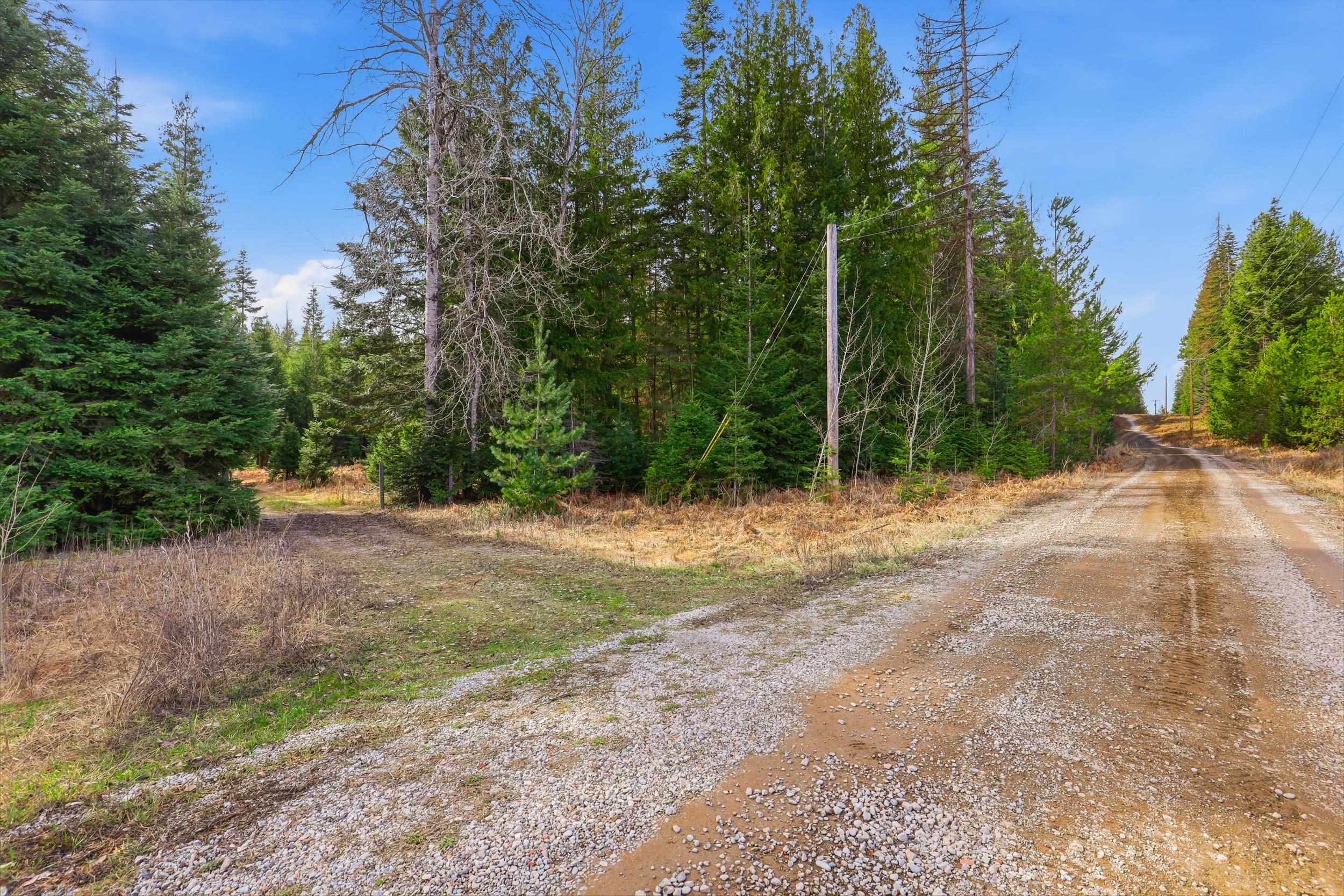 119 Gray Eagle Ln - Photo 3