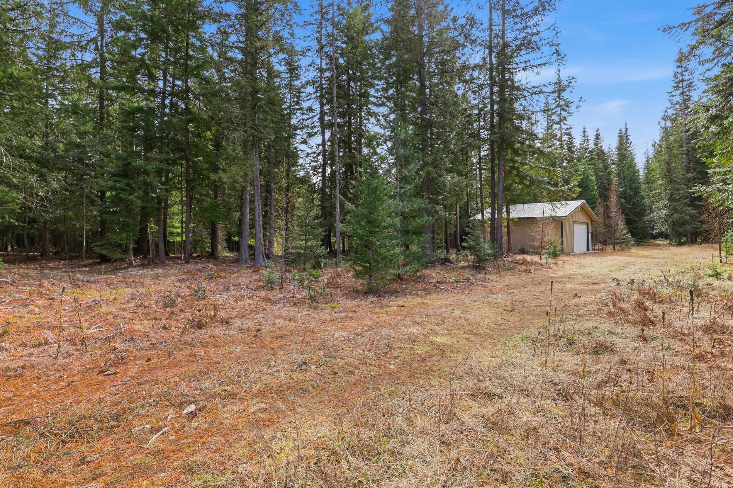 119 Gray Eagle Ln - Photo 5