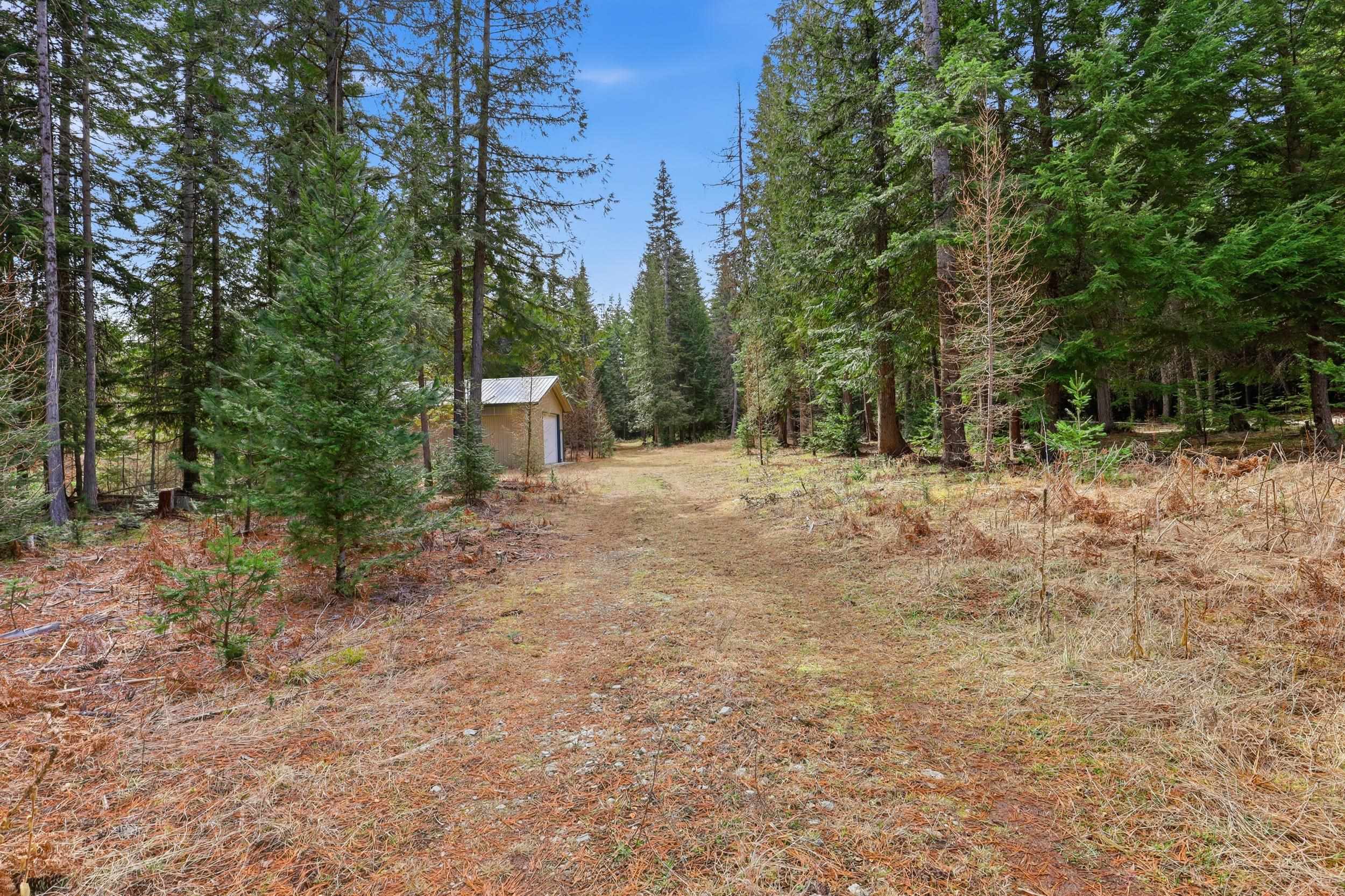 119 Gray Eagle Ln - Photo 6