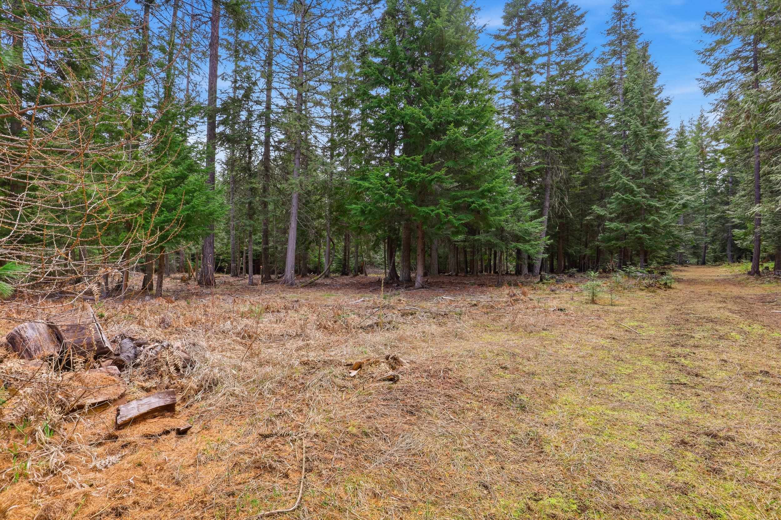 119 Gray Eagle Ln - Photo 10