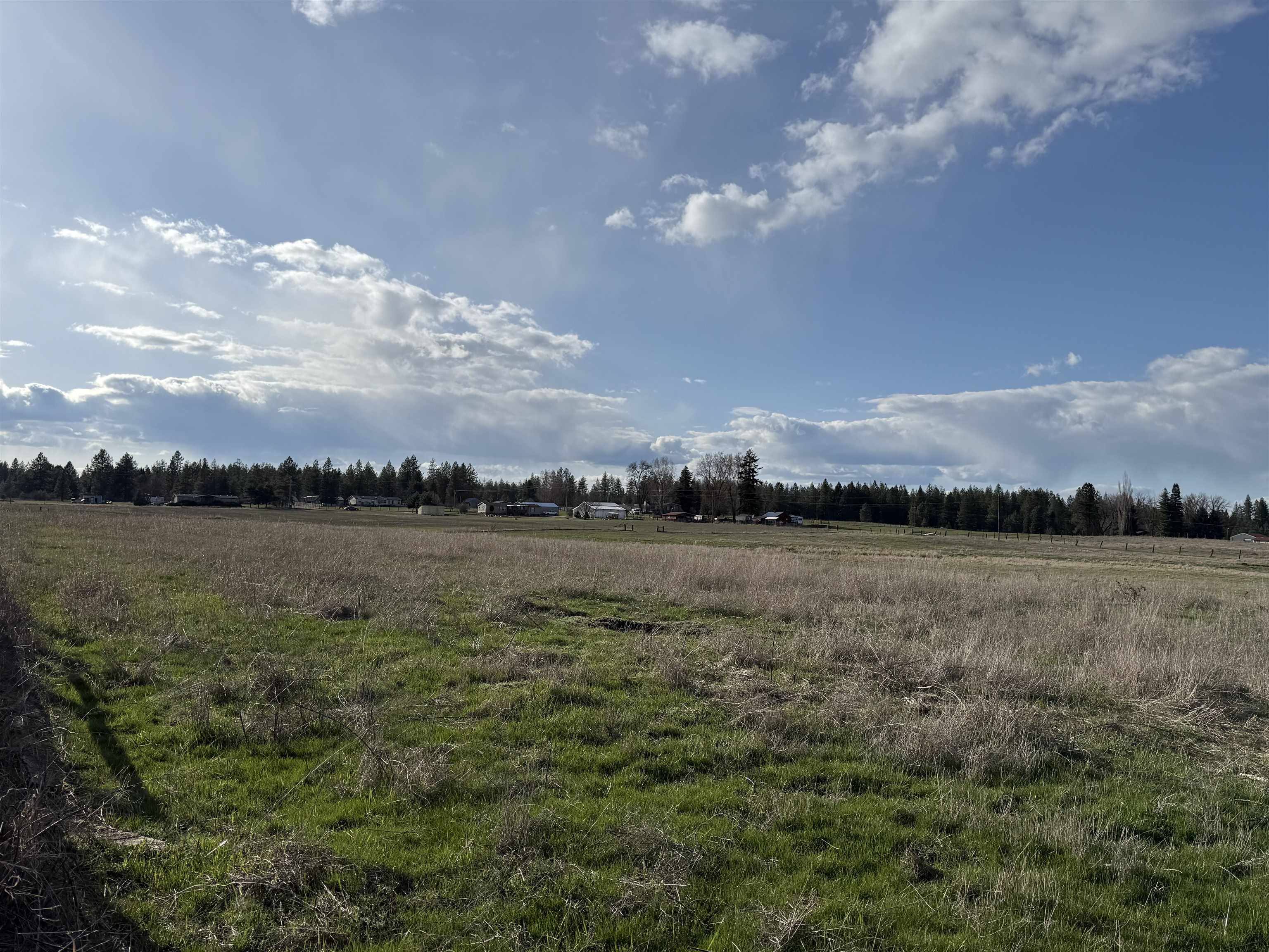 28XXX N Dalton Rd - Photo 13