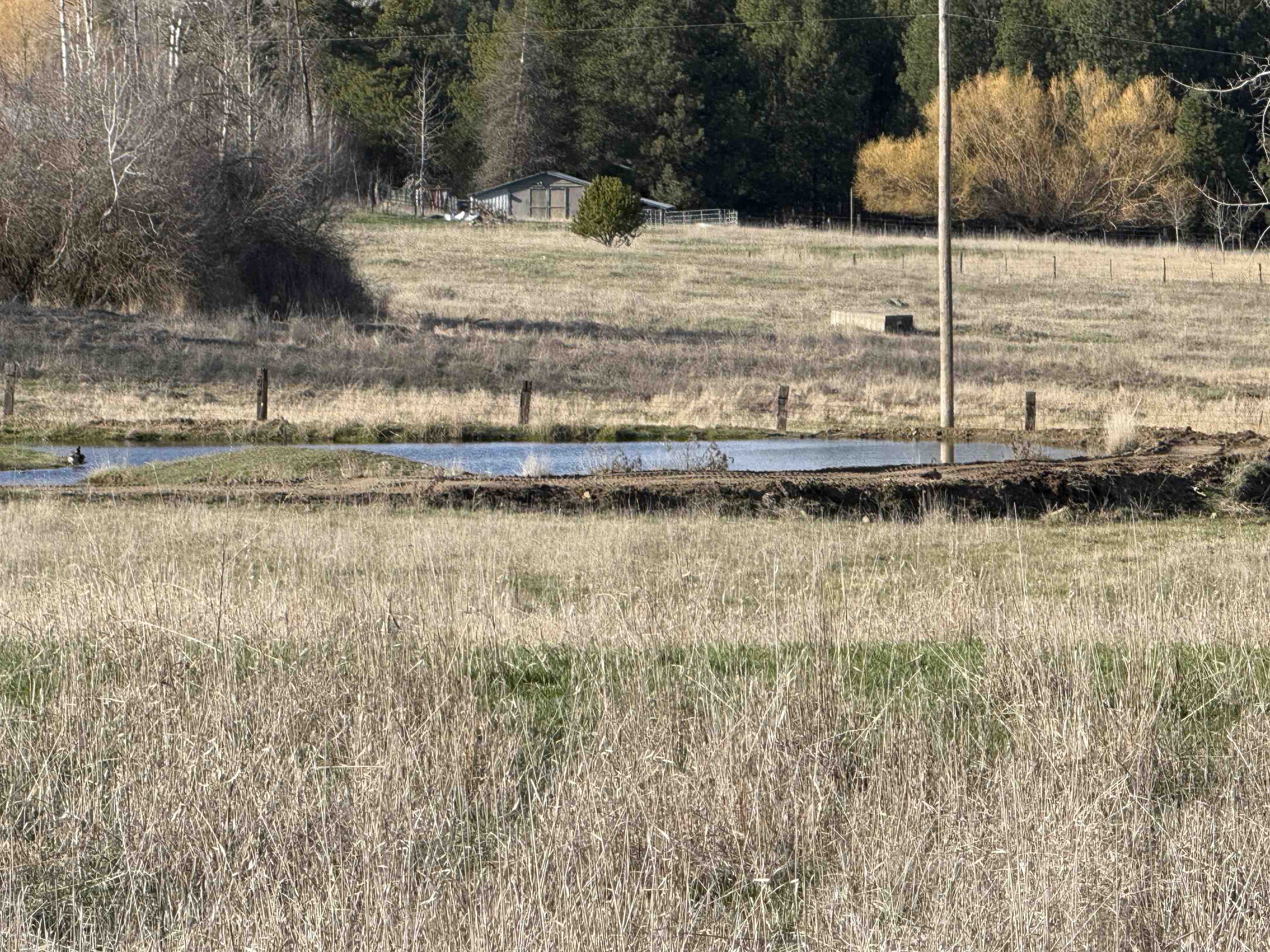 28XXX N Dalton Rd - Photo 14