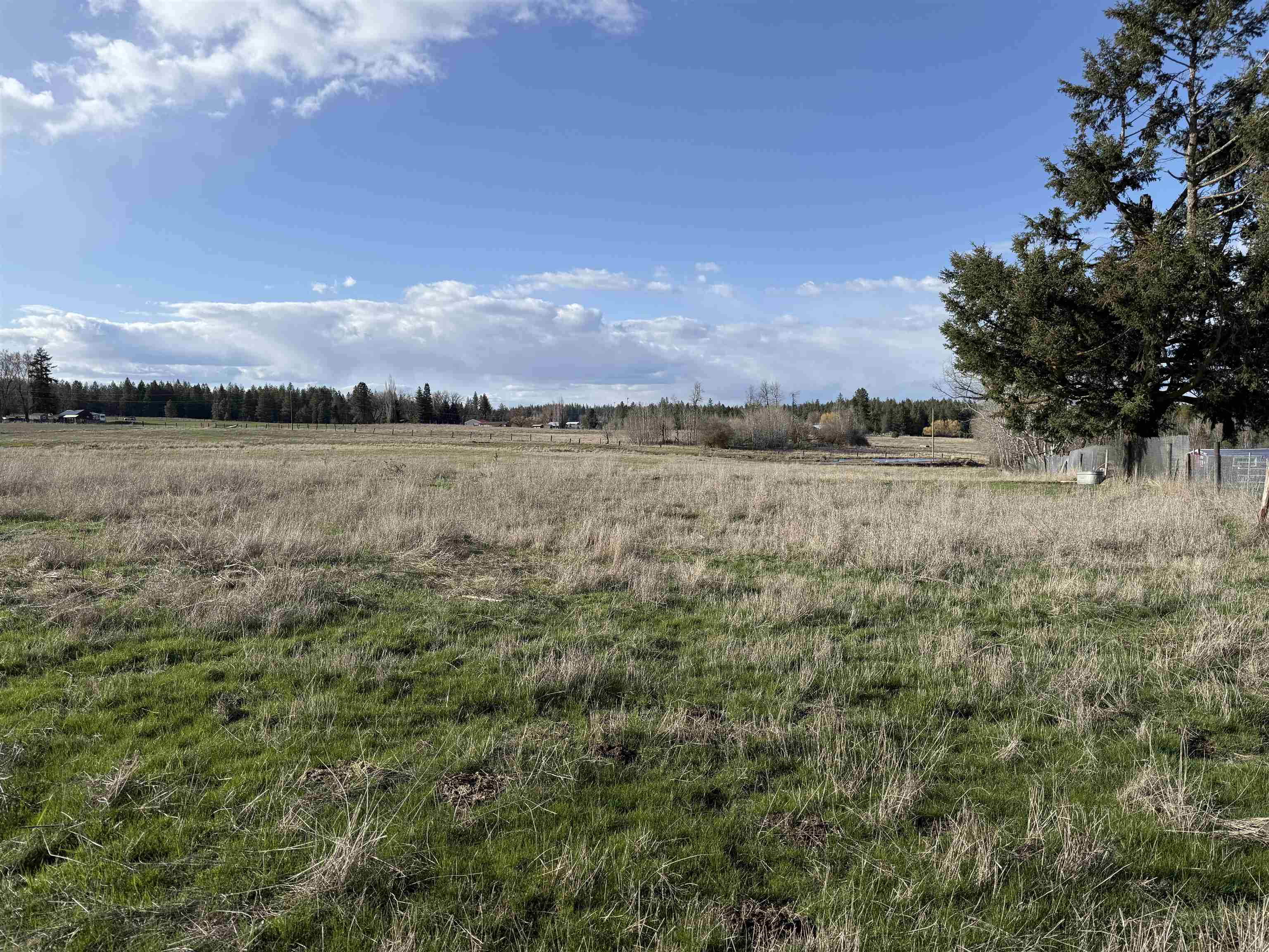 28XXX N Dalton Rd - Photo 15