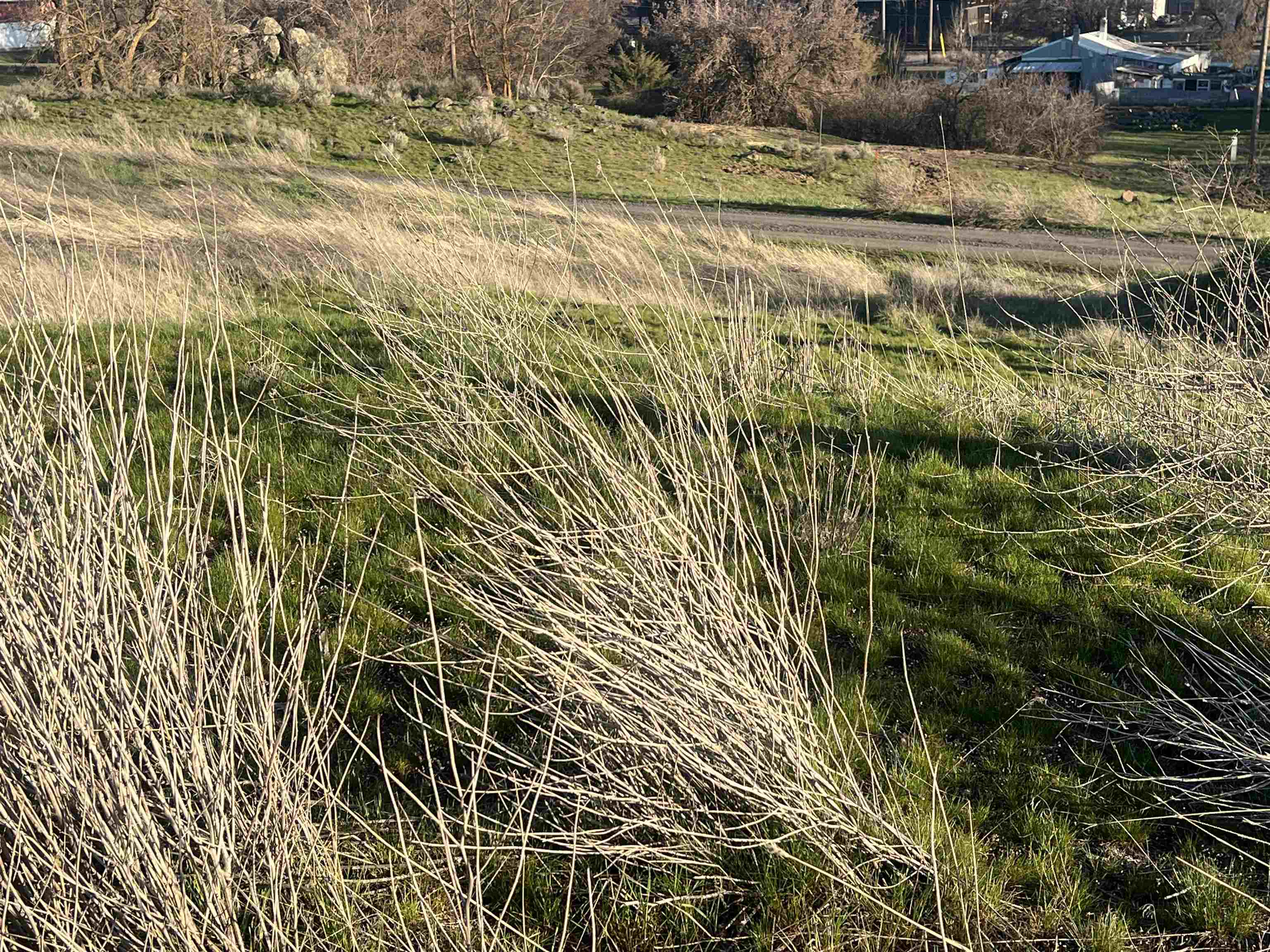 00 W Alder St - Photo 15