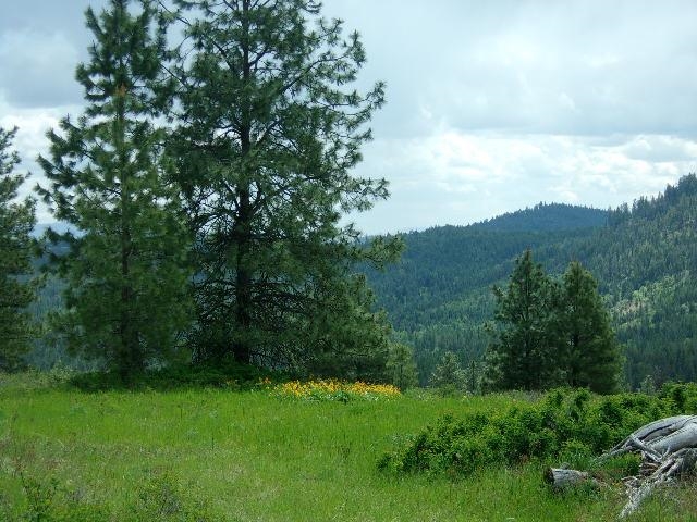 XXXO Hoag Rd - Photo 1