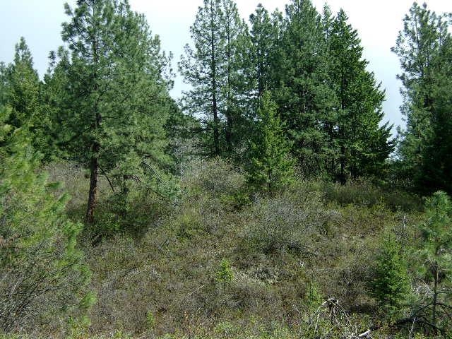XXXO Hoag Rd - Photo 13