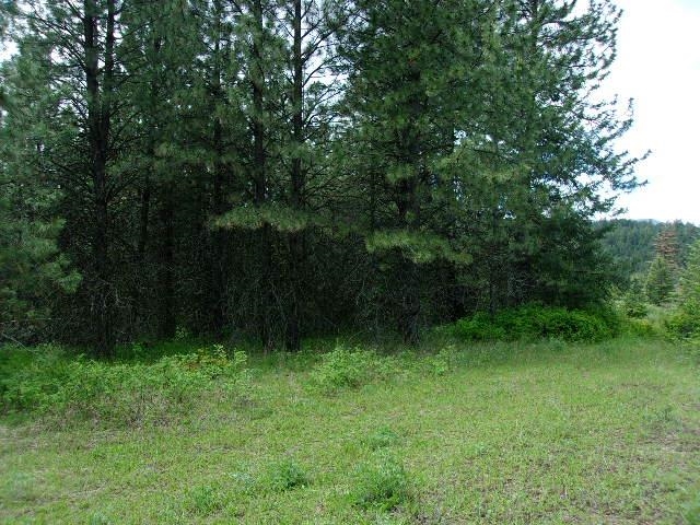XXXO Hoag Rd - Photo 14
