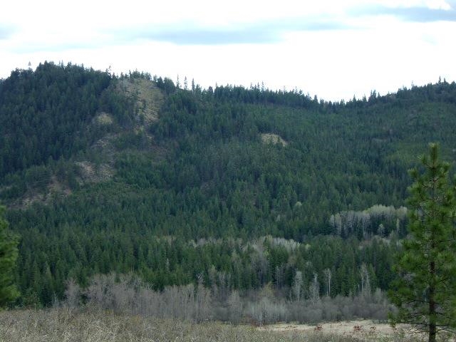 XXXO Hoag Rd - Photo 16
