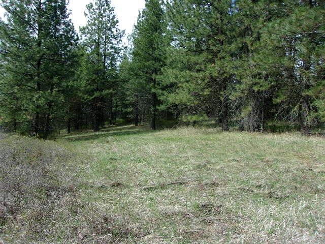 XXXO Hoag Rd - Photo 19