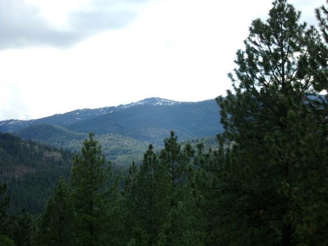 XXXO Hoag Rd - Photo 20