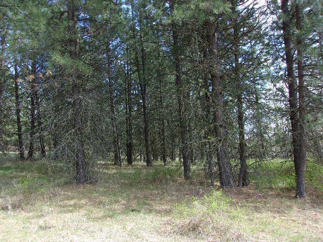 XXXO Hoag Rd - Photo 21