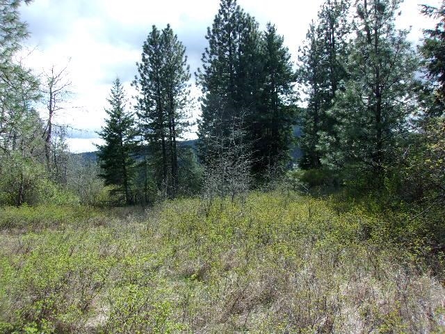 XXXO Hoag Rd - Photo 22