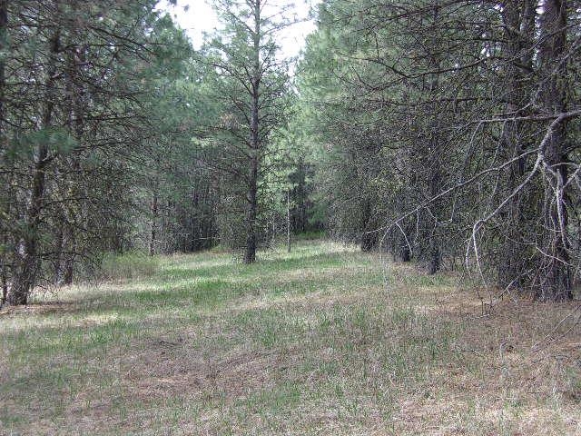 XXXO Hoag Rd - Photo 23