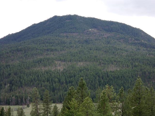 XXXO Hoag Rd - Photo 26