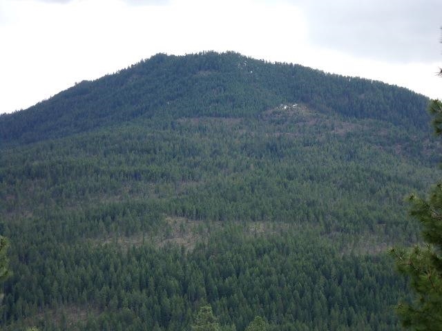 XXXO Hoag Rd - Photo 29