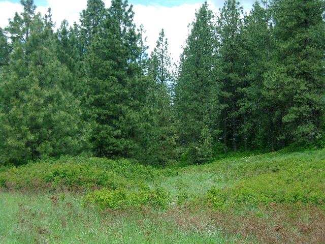 XXXO Hoag Rd - Photo 4