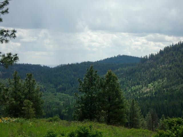 XXXO Hoag Rd - Photo 31
