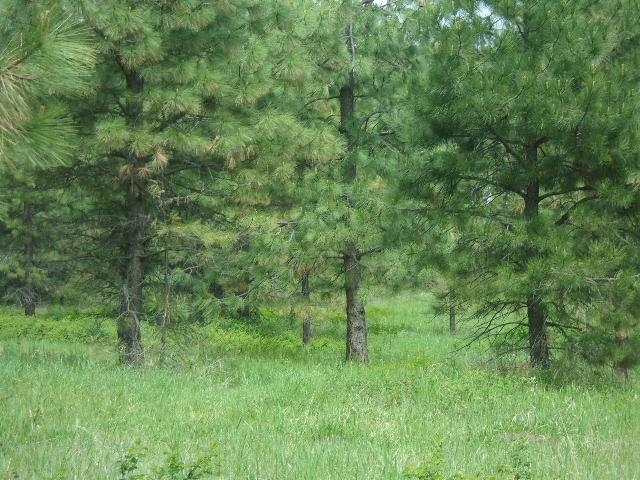 XXXO Hoag Rd - Photo 9