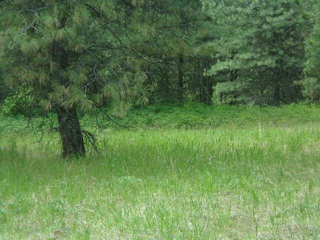 XXXO Hoag Rd - Photo 10