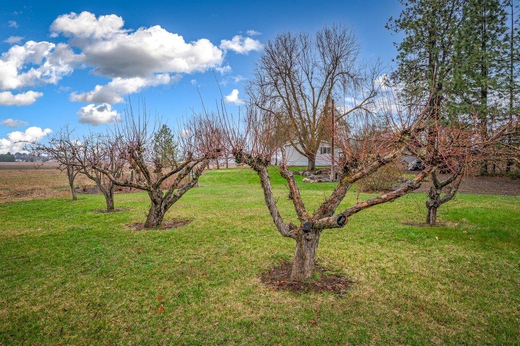 4705 S Abbott Rd - Photo 42