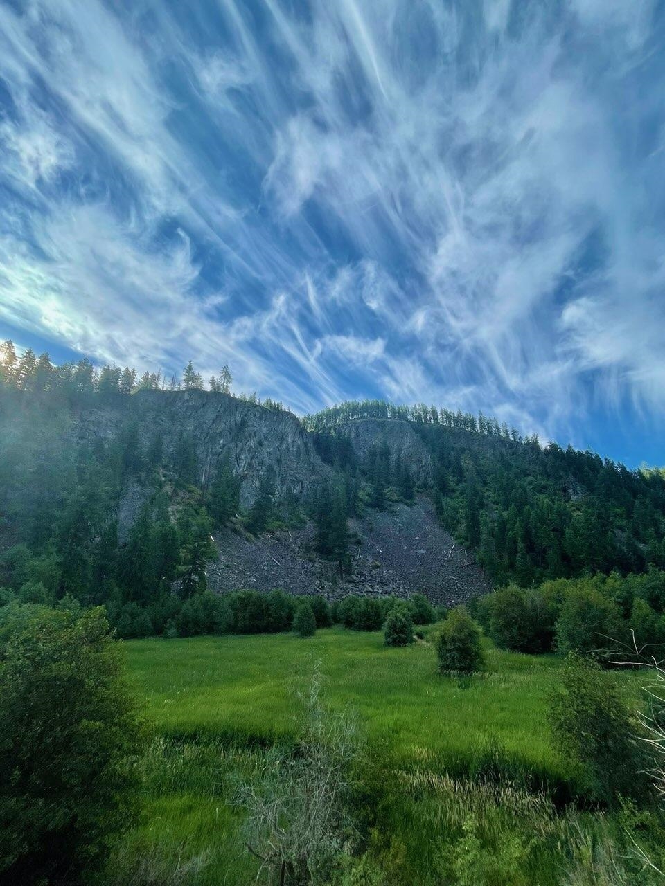 8XX Little Spokane River Rd - Photo 1