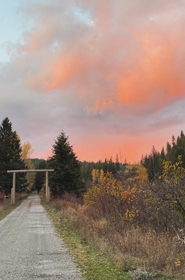 8XX Little Spokane River Rd - Photo 2