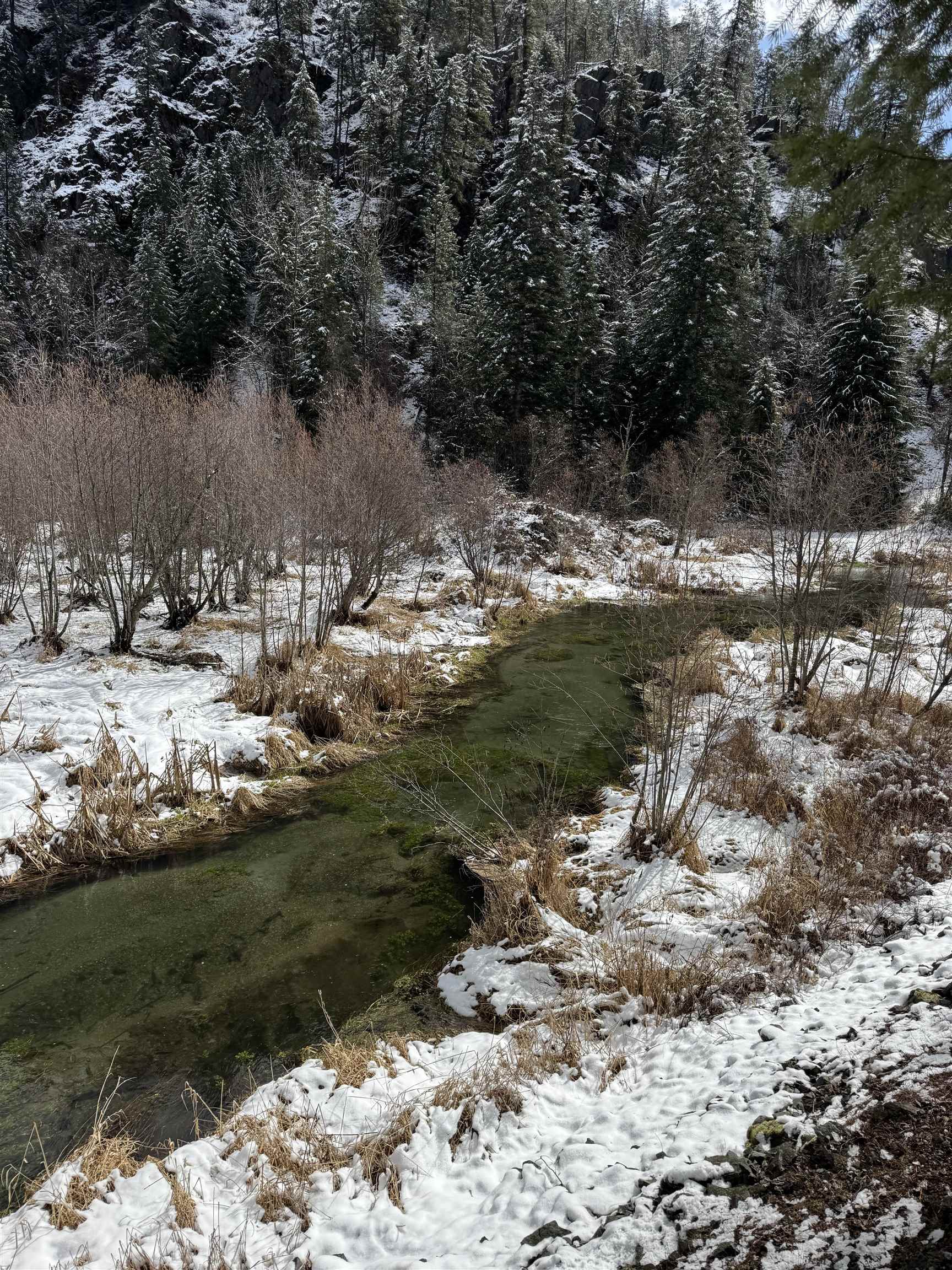 8XX Little Spokane River Rd - Photo 11