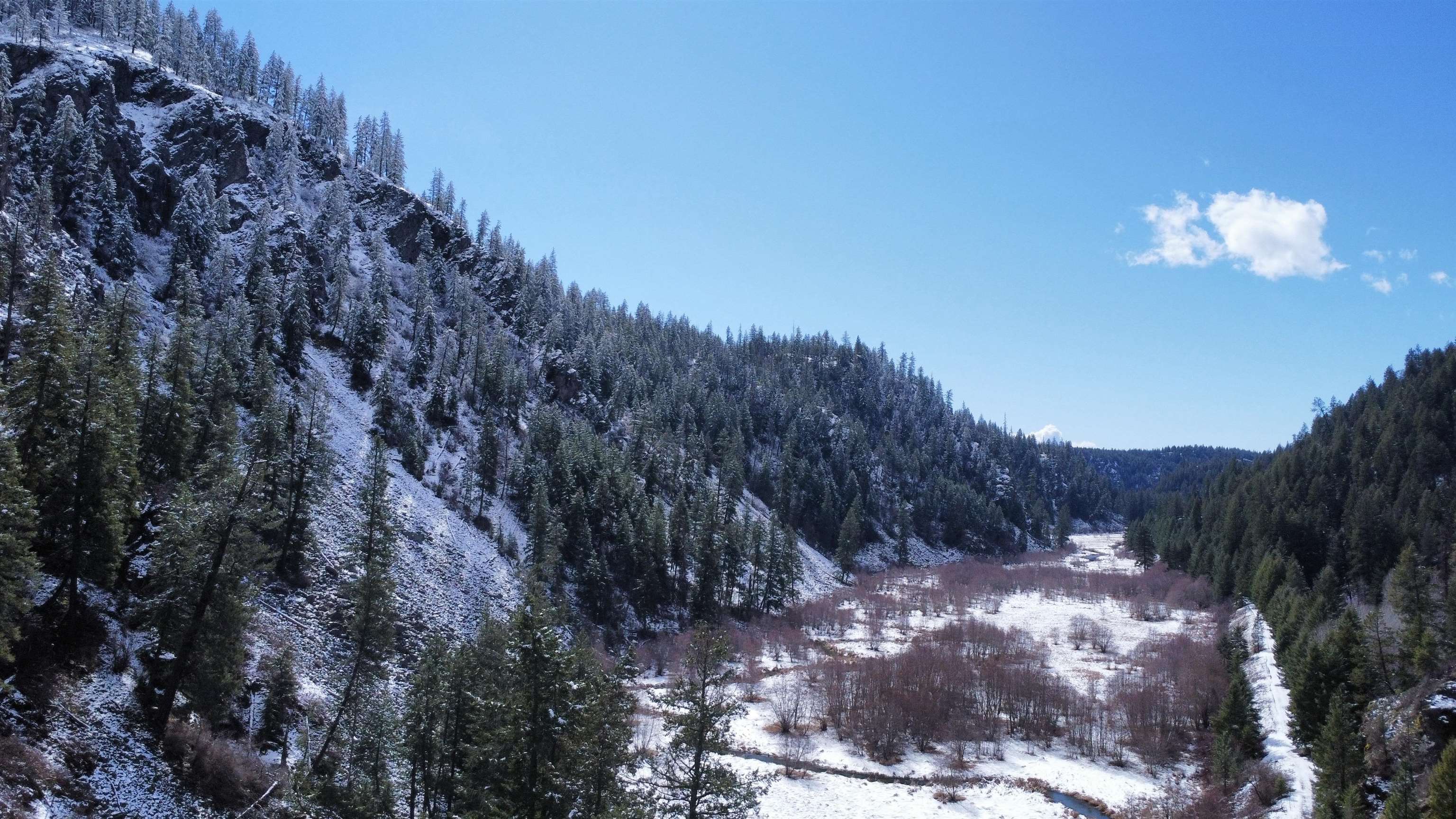 8XX Little Spokane River Rd - Photo 12
