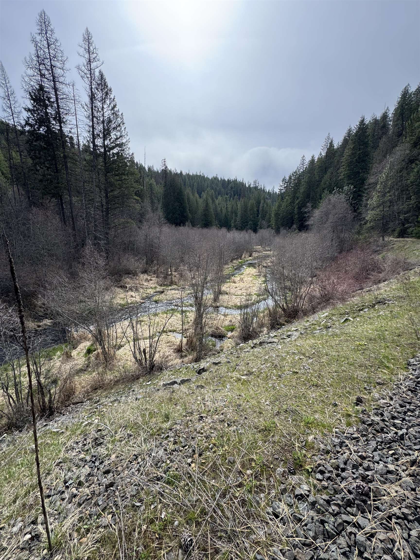 8XX Little Spokane River Rd - Photo 13