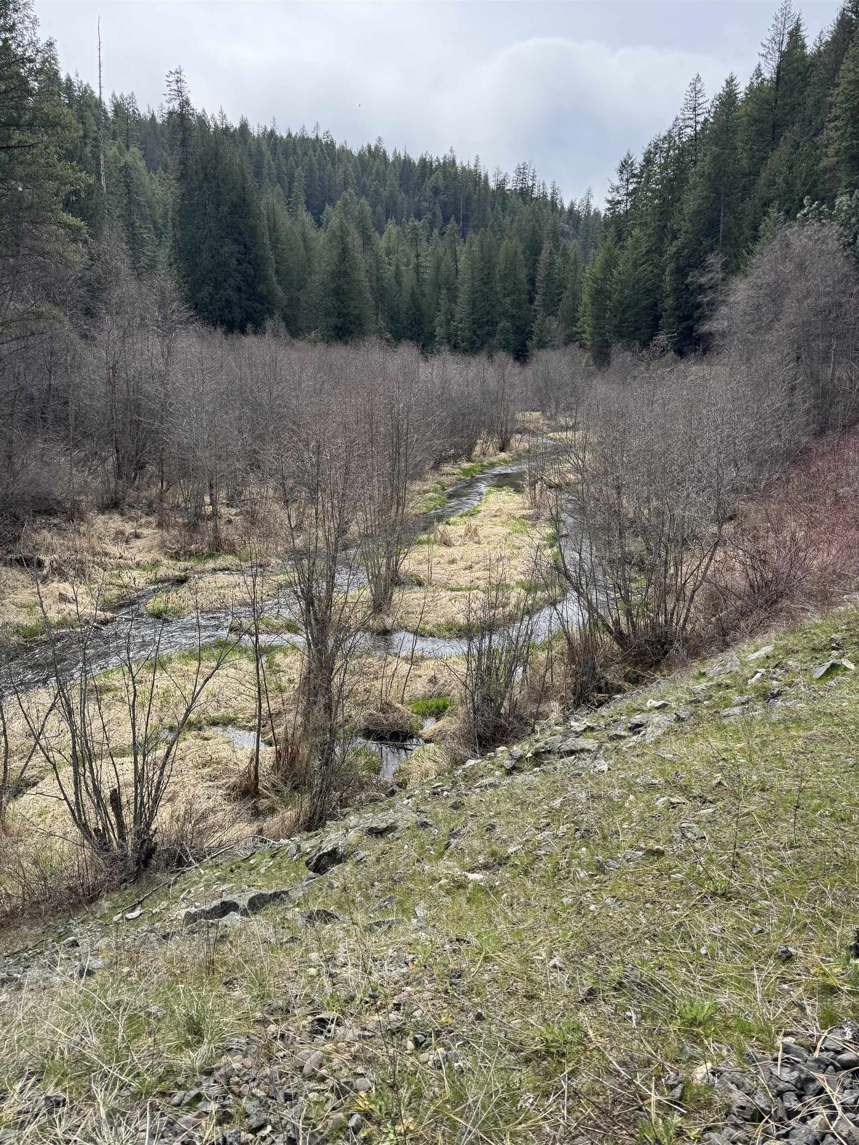 8XX Little Spokane River Rd - Photo 15