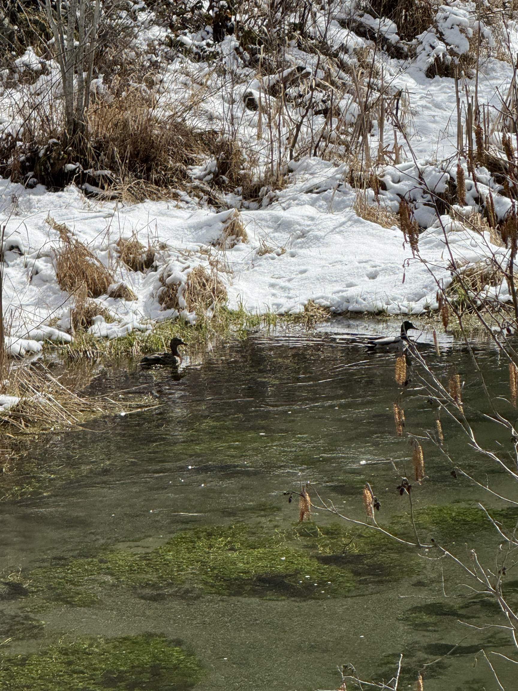 8XX Little Spokane River Rd - Photo 17