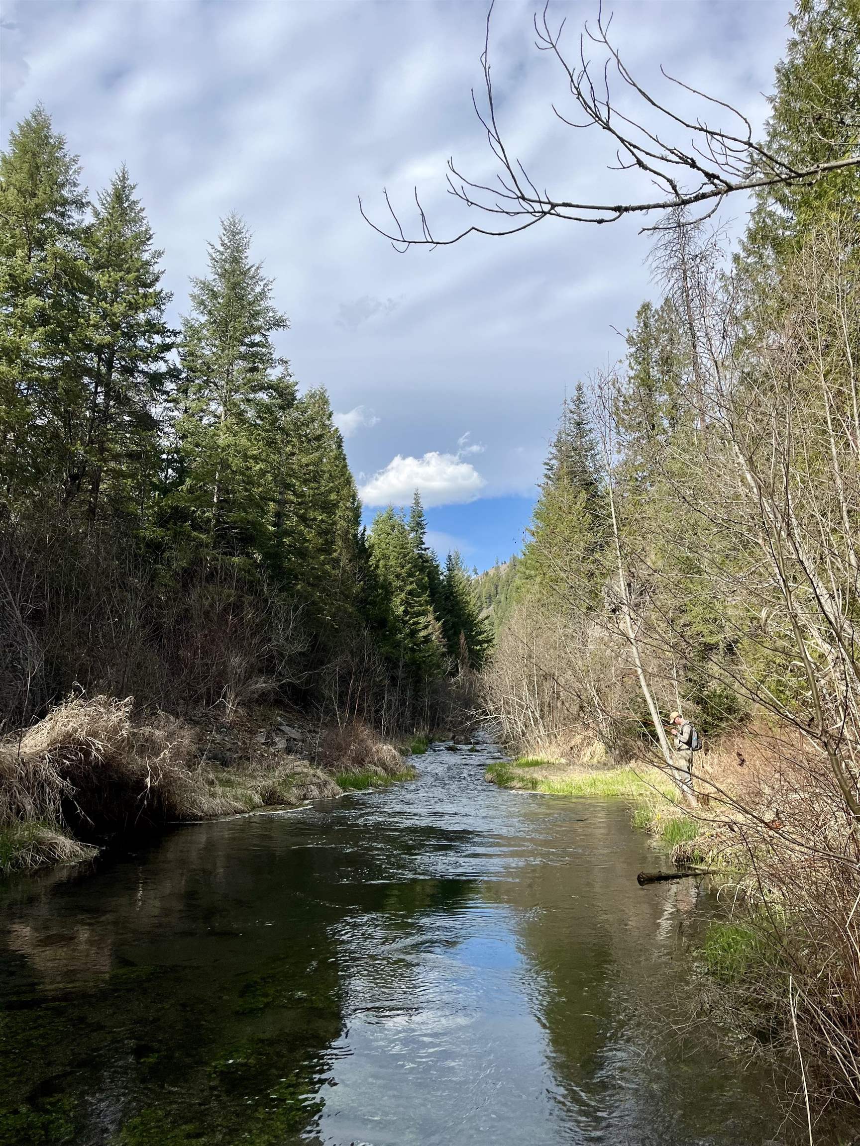 8XX Little Spokane River Rd - Photo 3