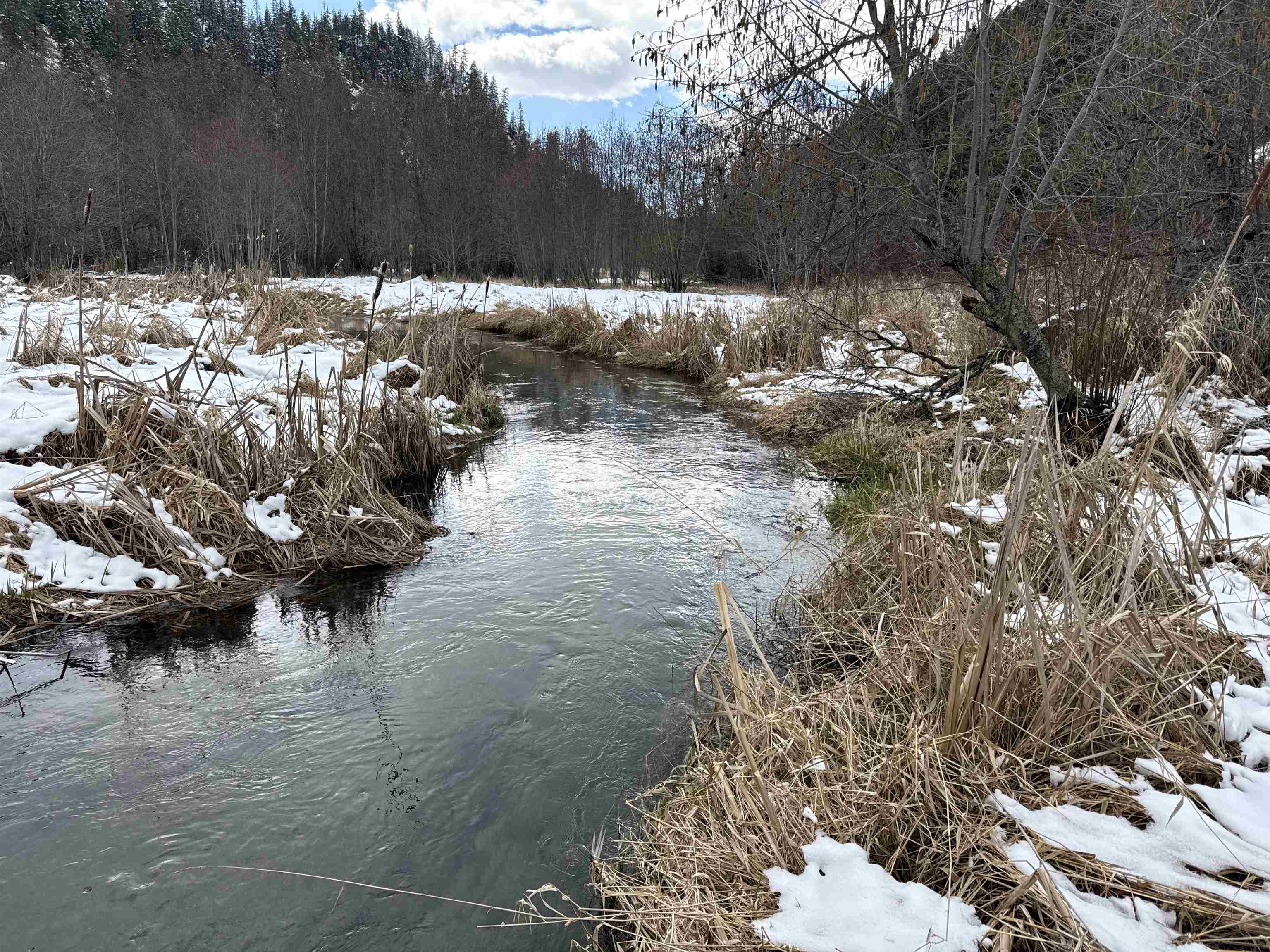 8XX Little Spokane River Rd - Photo 21