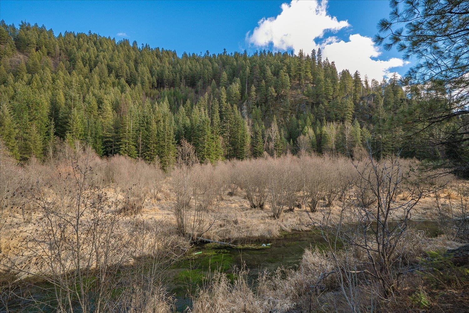 8XX Little Spokane River Rd - Photo 29