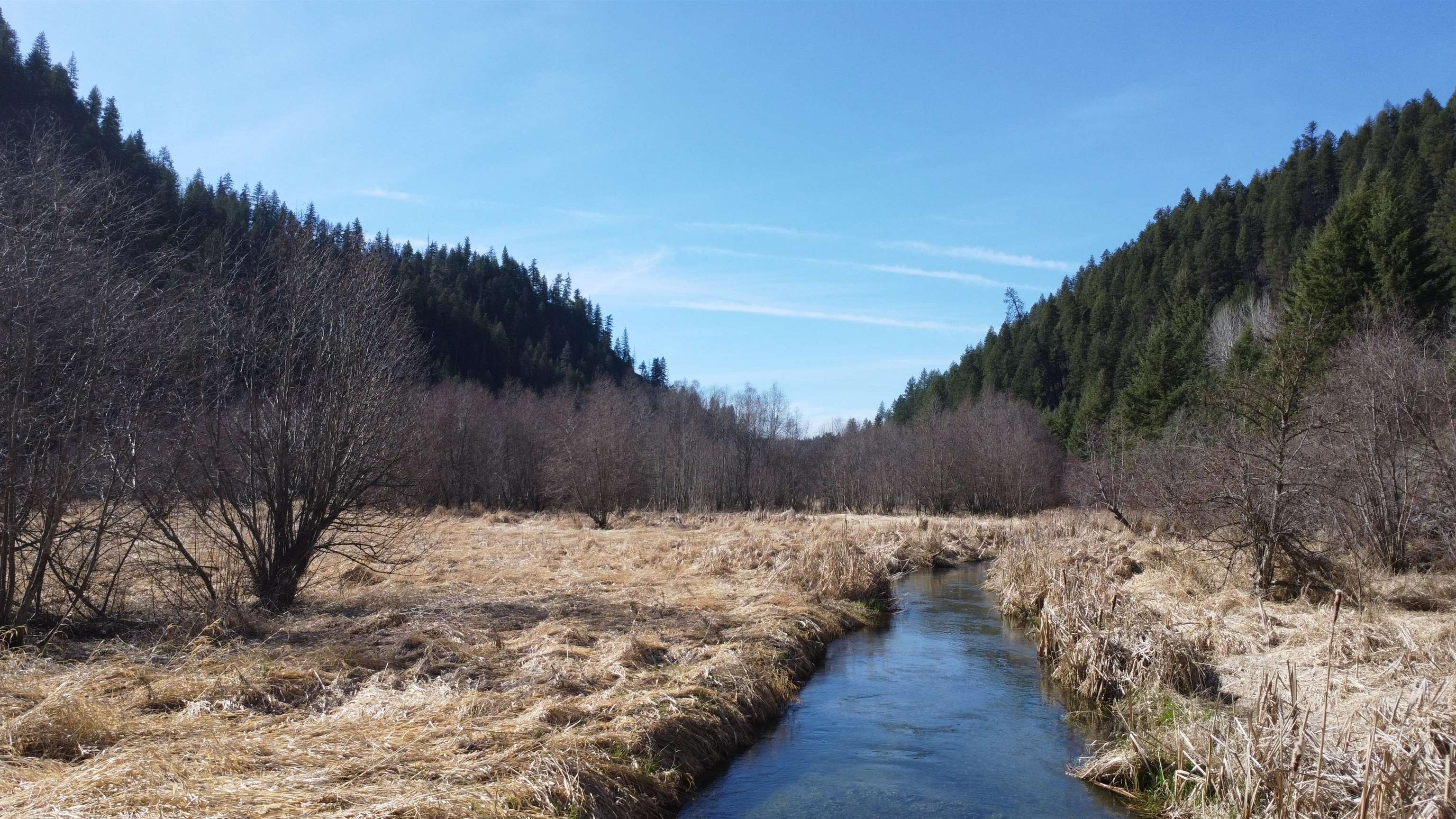 8XX Little Spokane River Rd - Photo 4