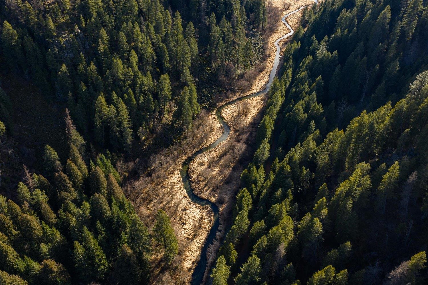 8XX Little Spokane River Rd - Photo 36