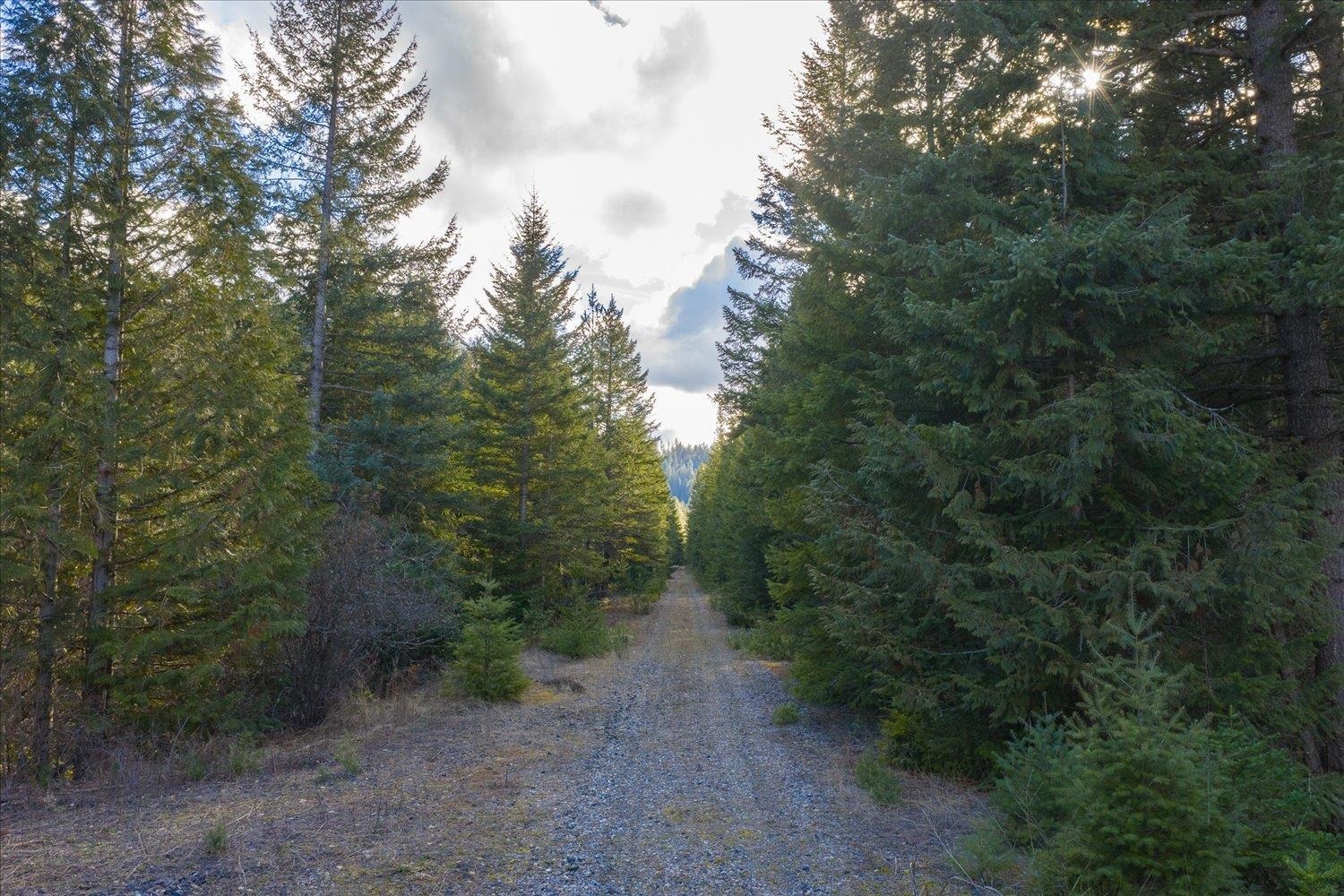 8XX Little Spokane River Rd - Photo 40