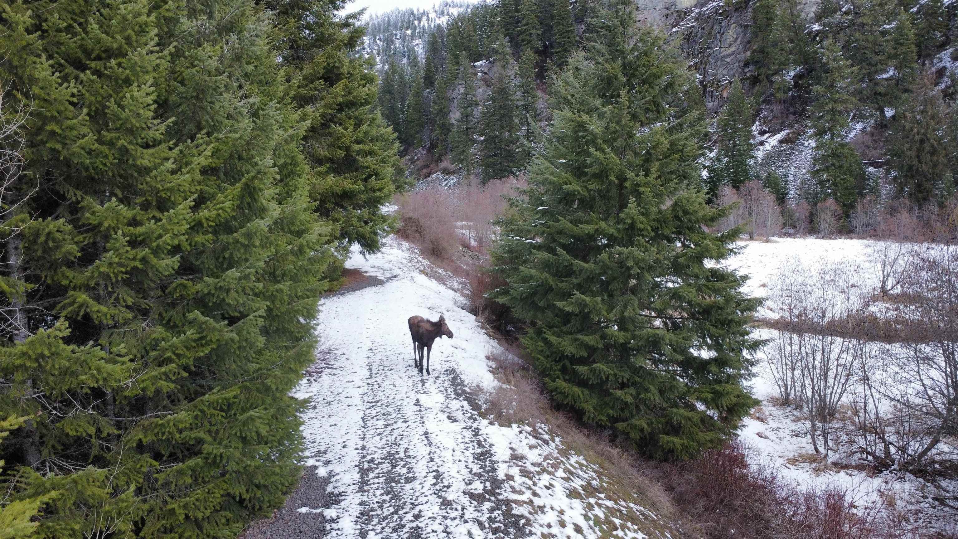 8XX Little Spokane River Rd - Photo 7