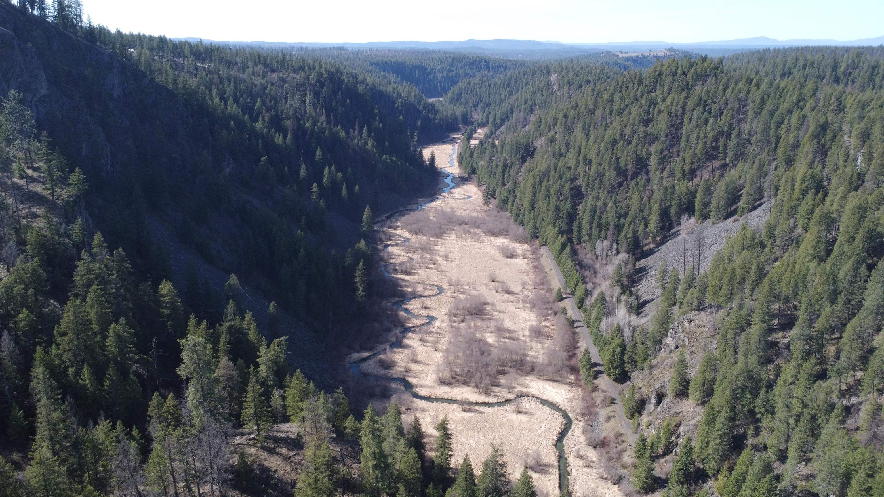 8XX Little Spokane River Rd - Photo 8