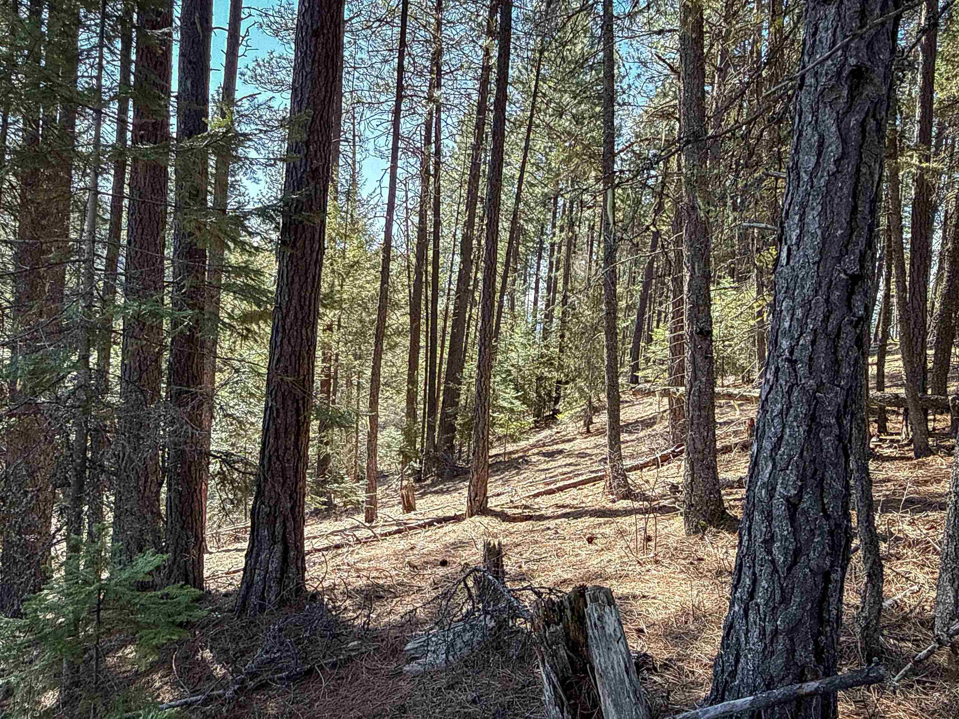NKA USFS 326 Rd - Photo 12