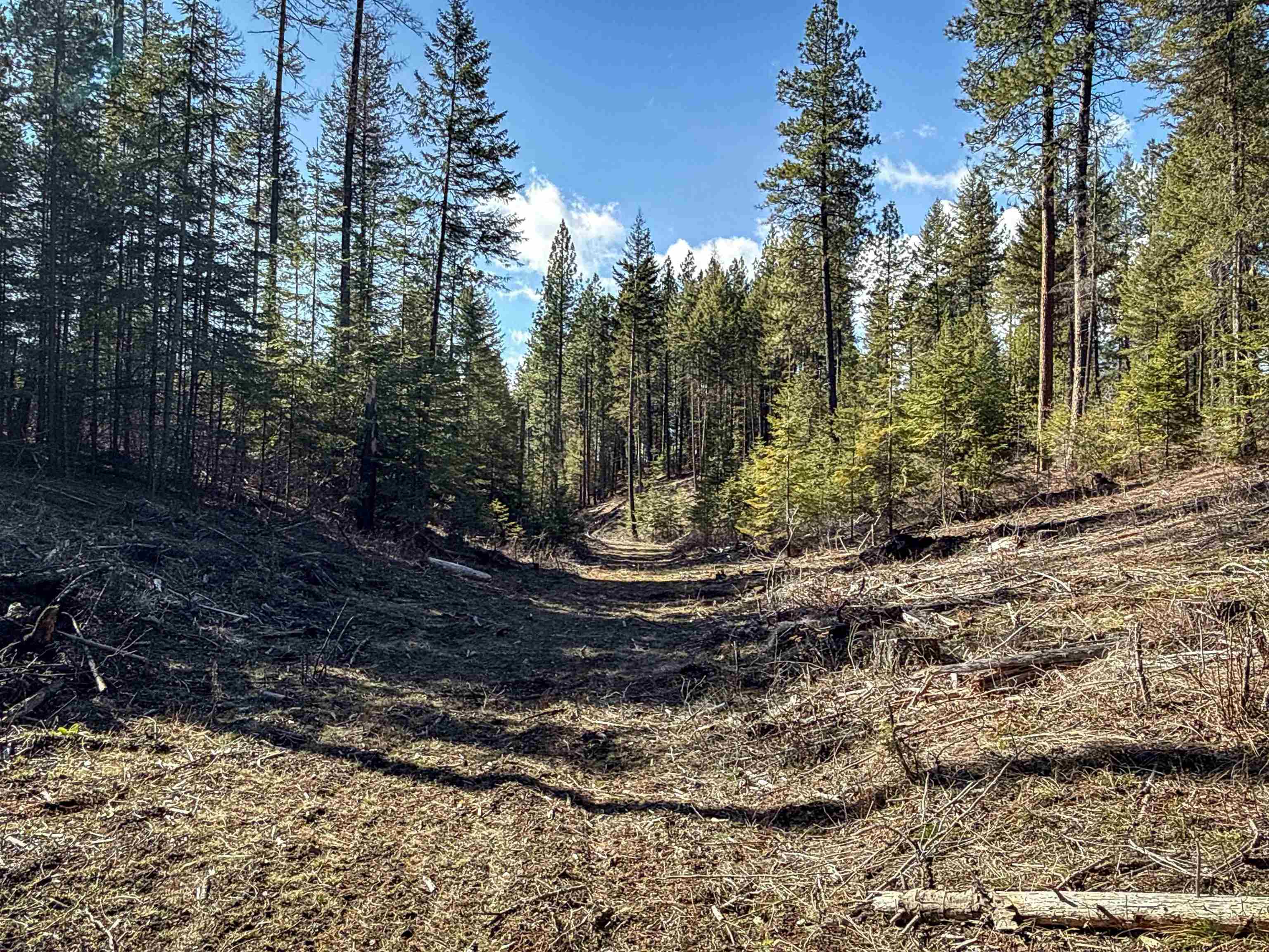 NKA USFS 326 Rd - Photo 16