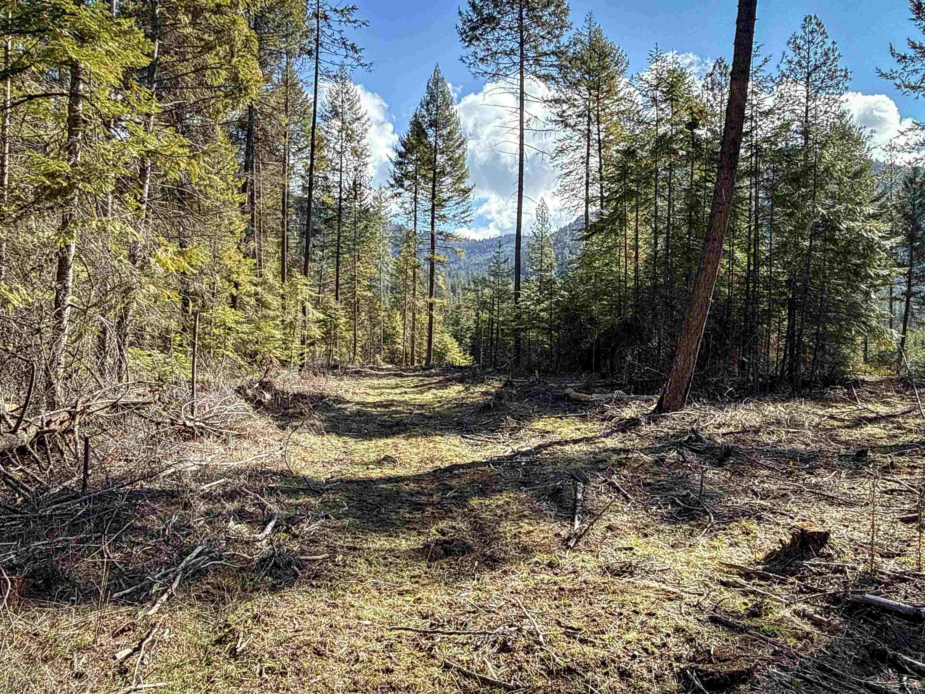NKA USFS 326 Rd - Photo 17