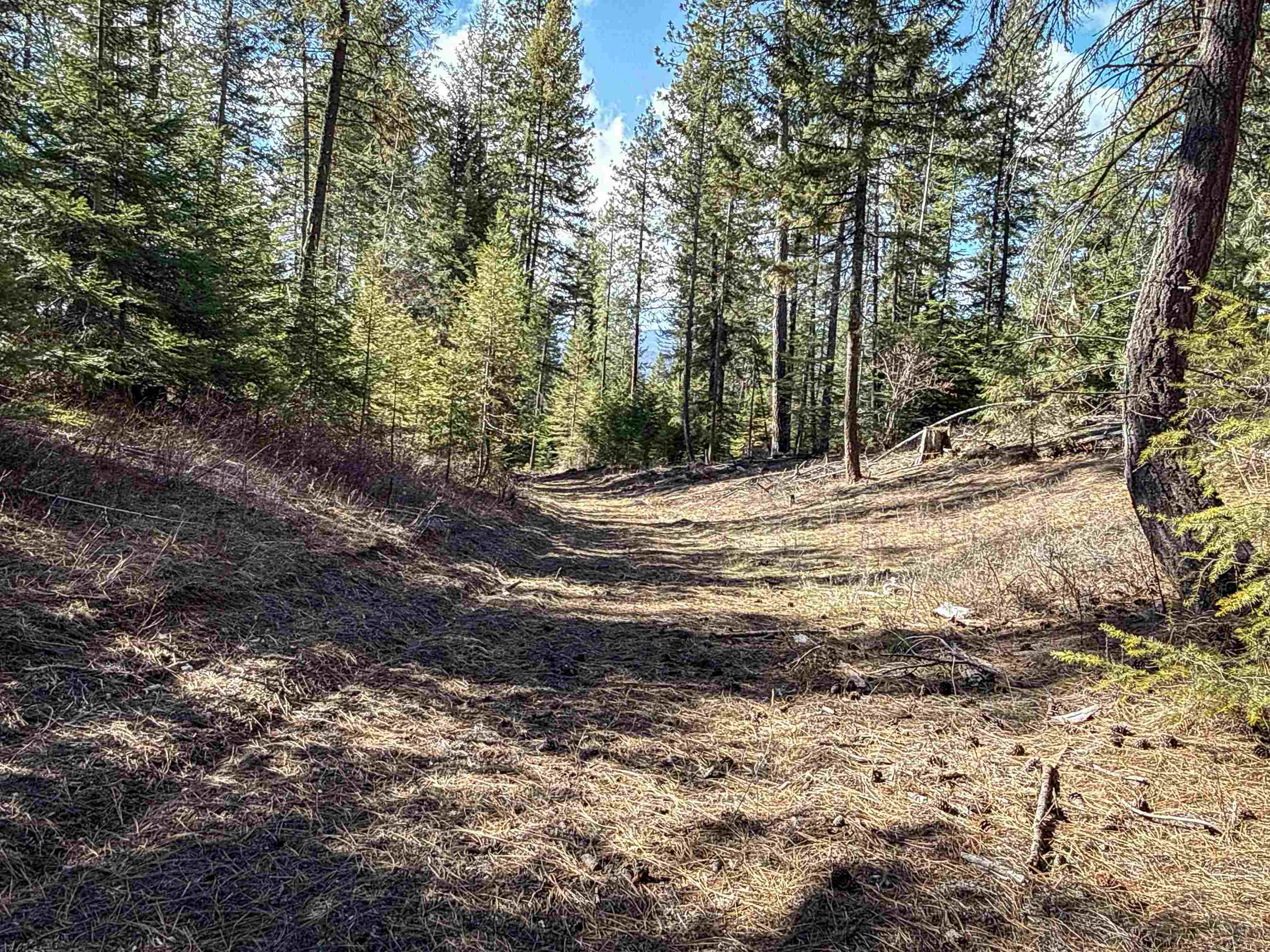 NKA USFS 326 Rd - Photo 18