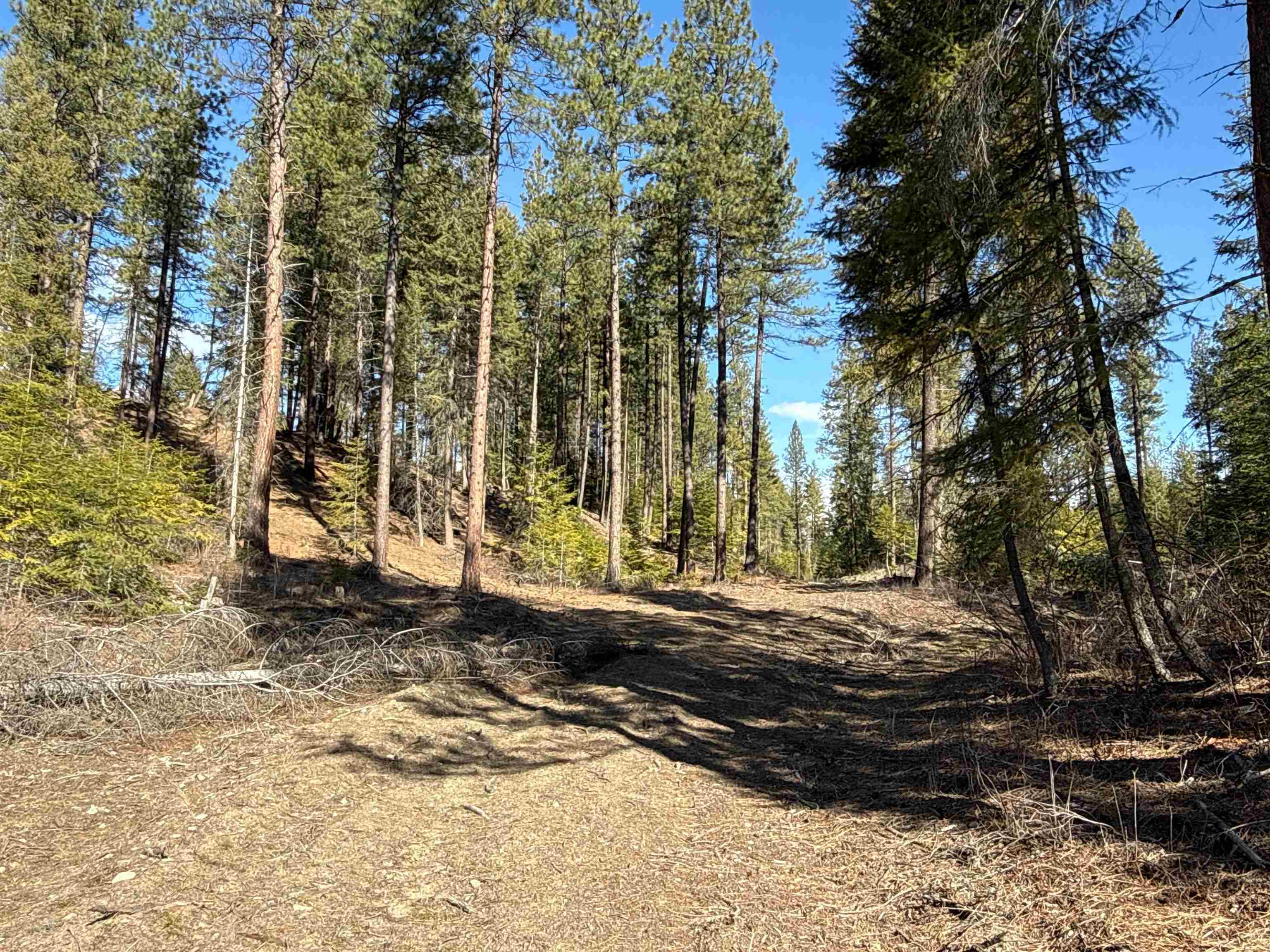 NKA USFS 326 Rd - Photo 19