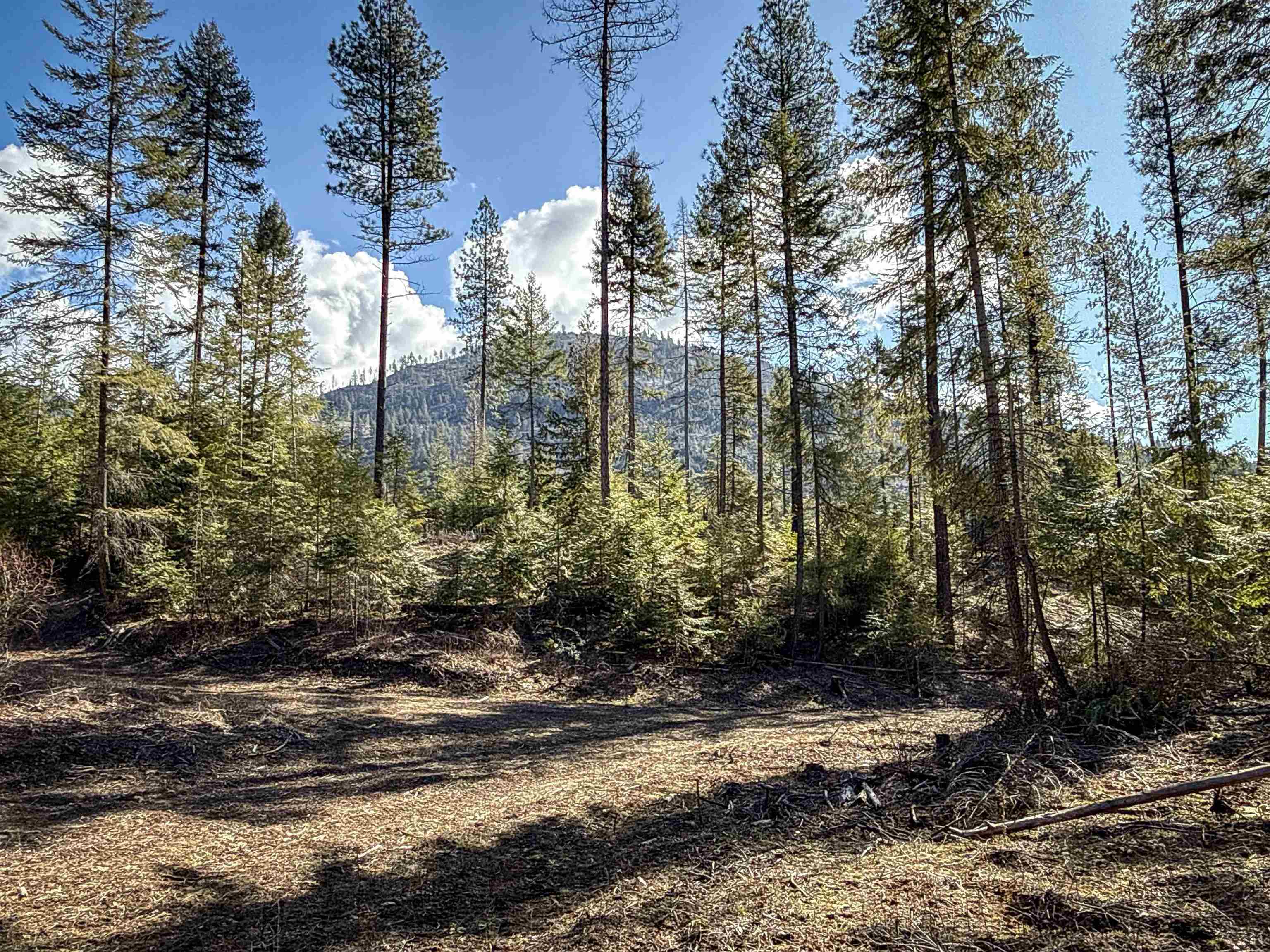 NKA USFS 326 Rd - Photo 20