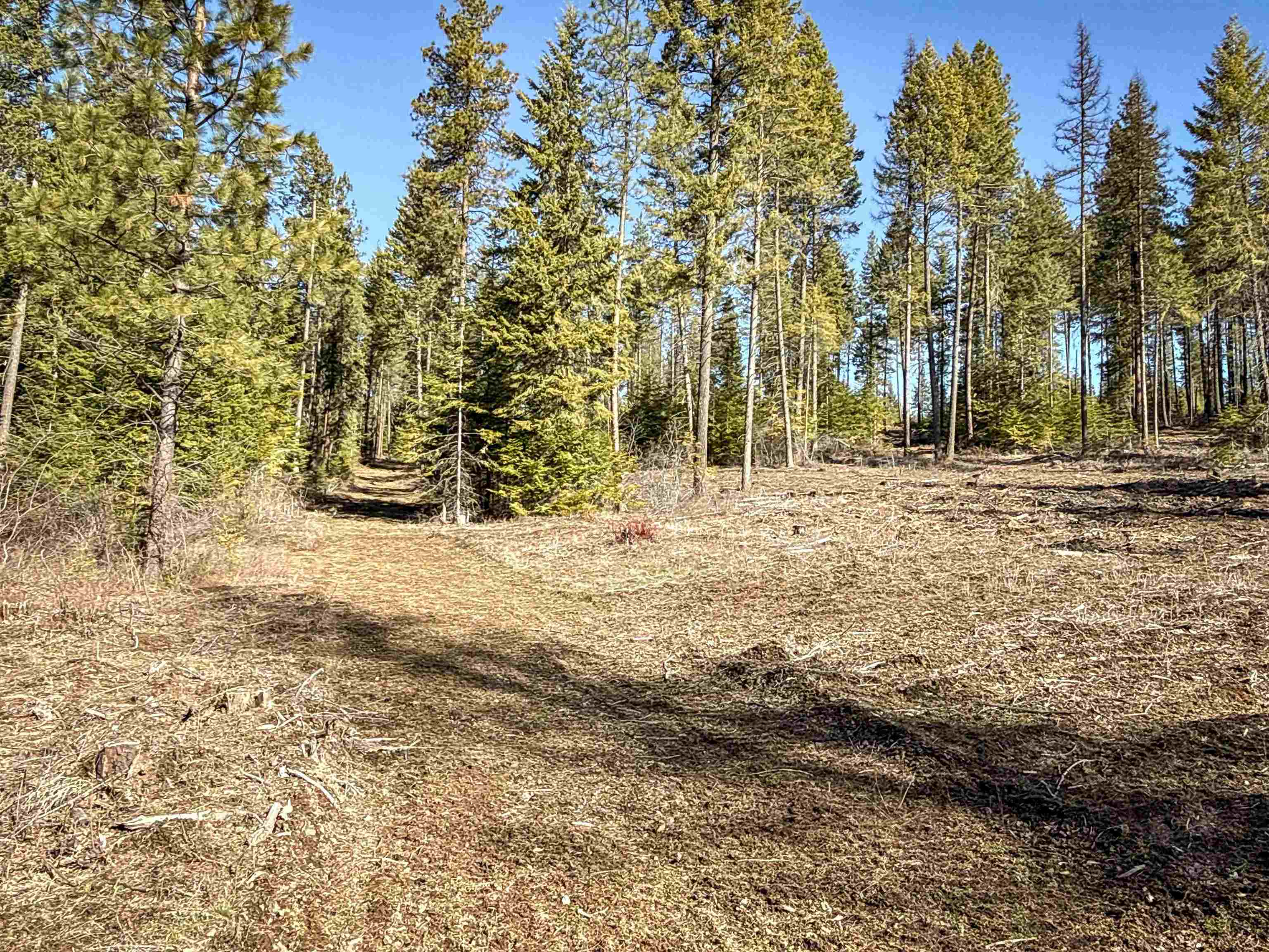 NKA USFS 326 Rd - Photo 3
