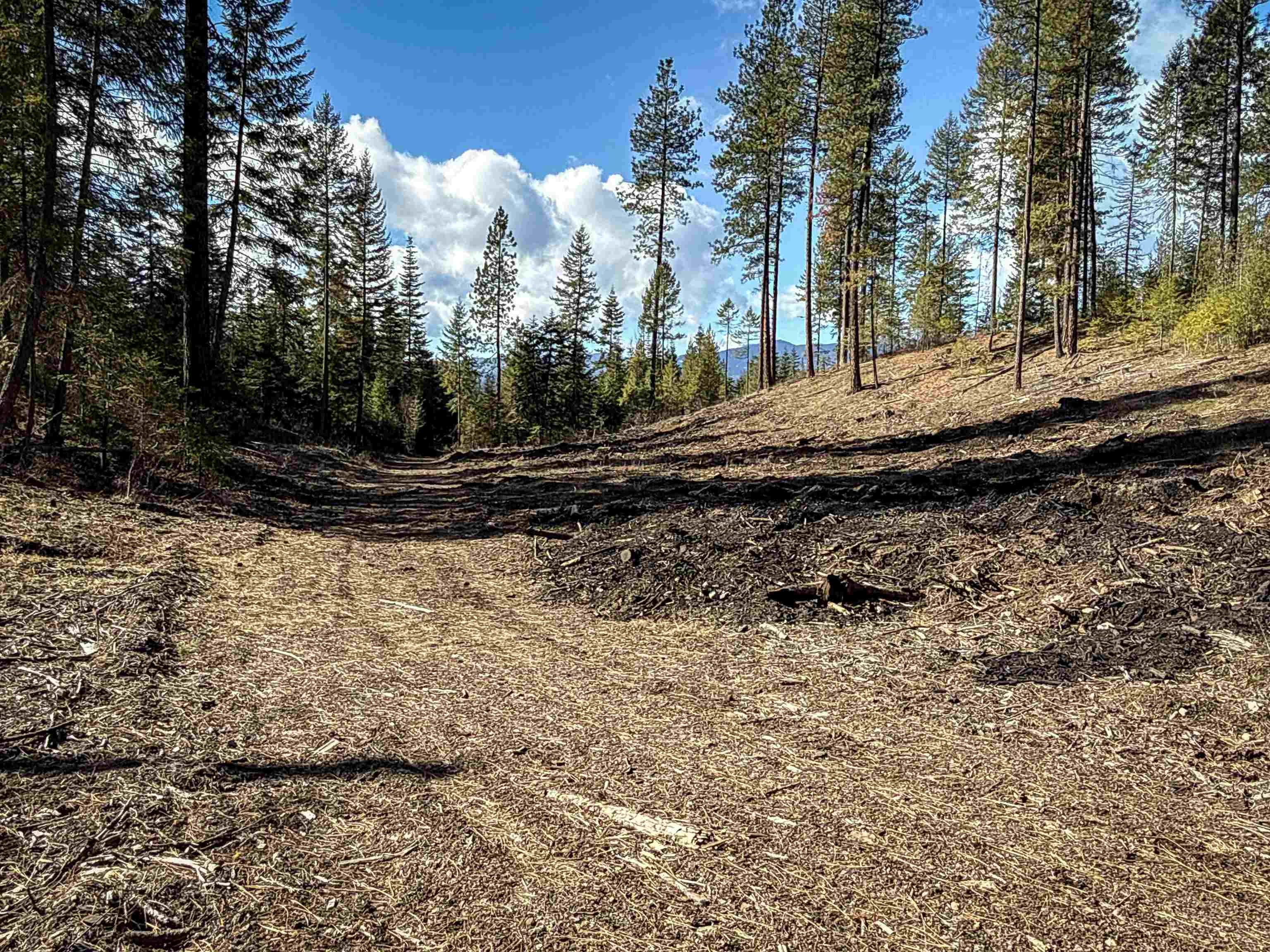 NKA USFS 326 Rd - Photo 21