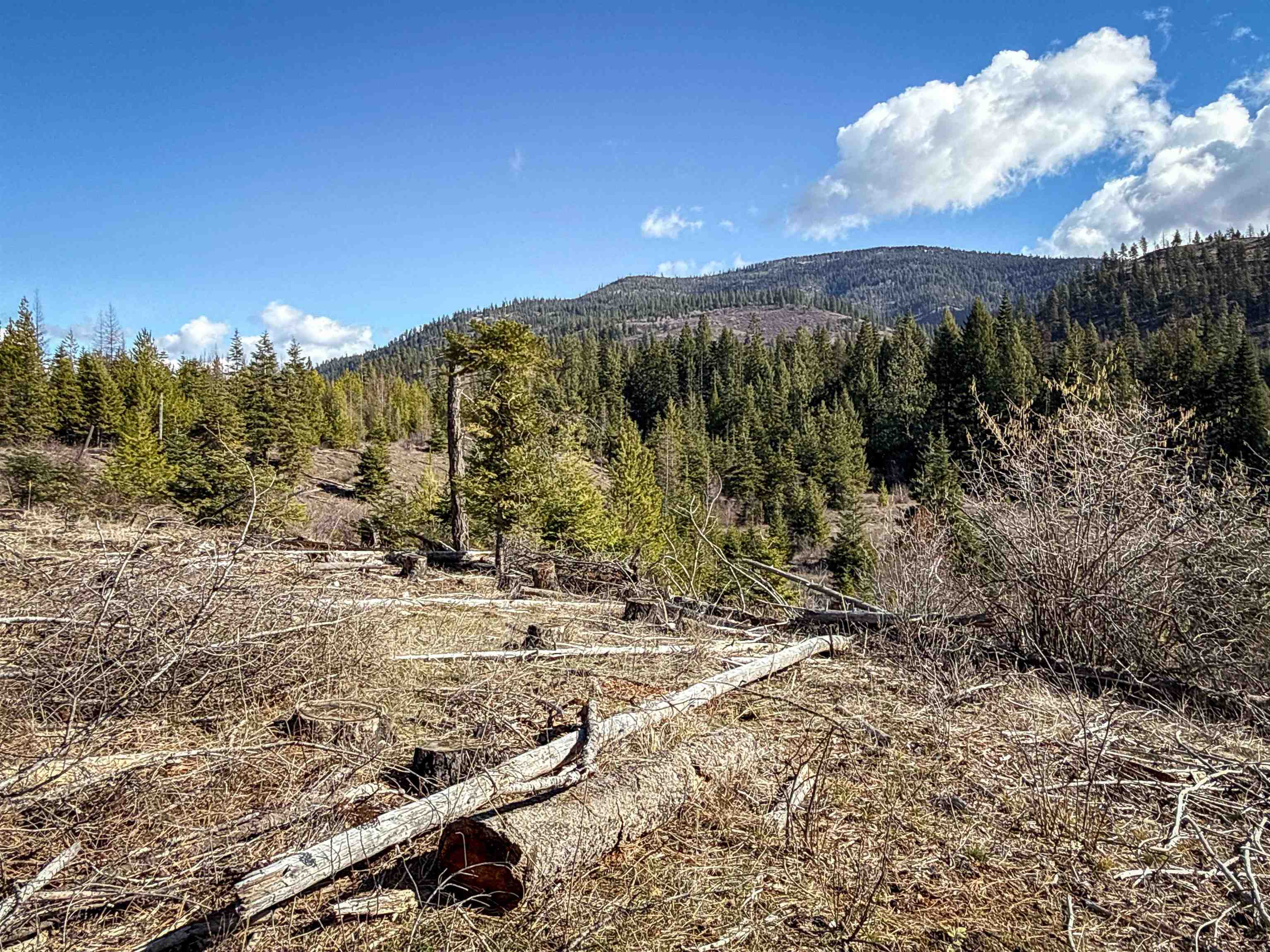 NKA USFS 326 Rd - Photo 22
