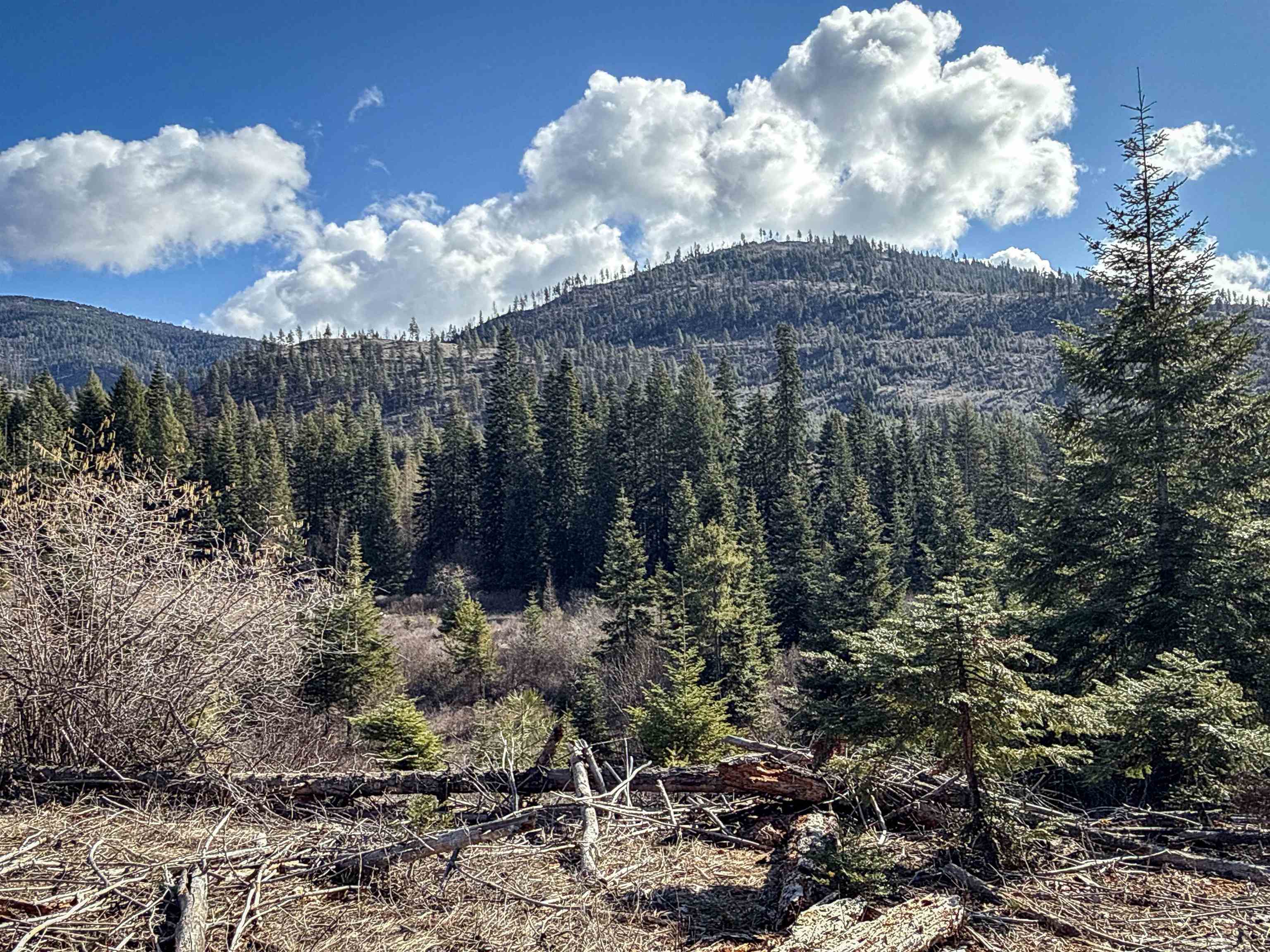 NKA USFS 326 Rd - Photo 23